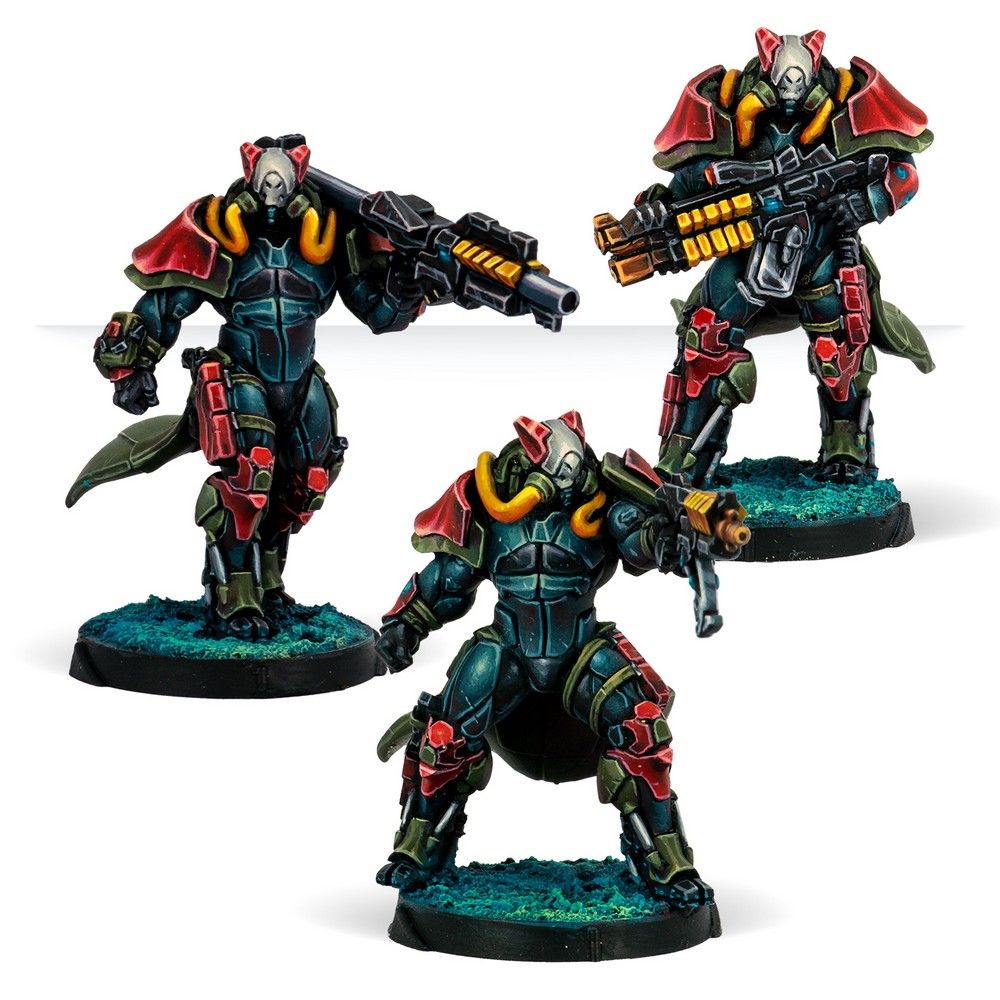 Rodoks, Armed Imposition Detachment (Combined Army)
